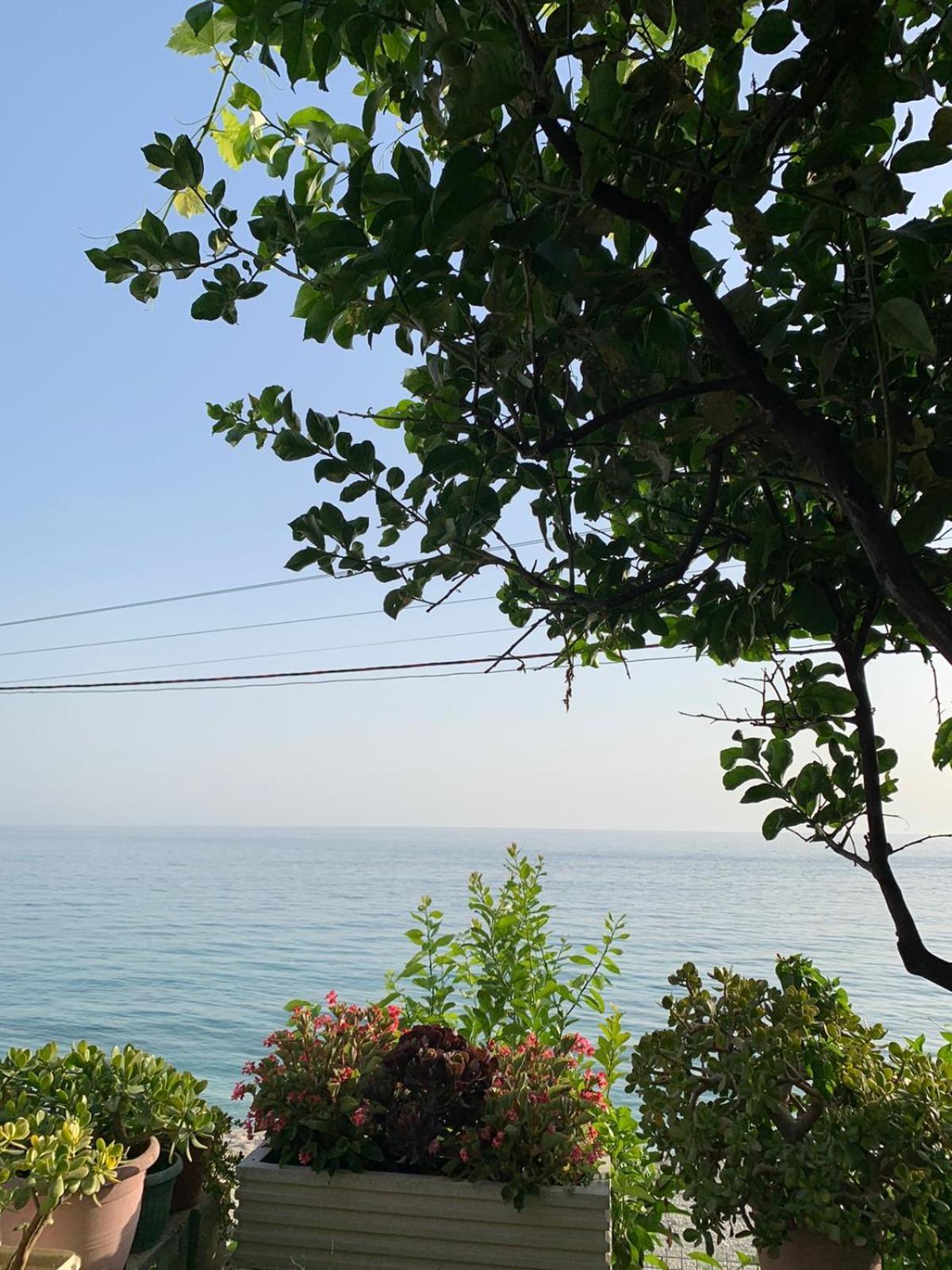Sea La Vie Anesti Daire Borş Dış mekan fotoğraf